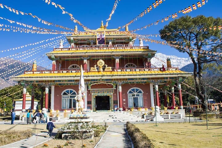 Palampur Tea Gardens, Monasteries & Chamunda Temple: Guided Day Tour from Dharamshala