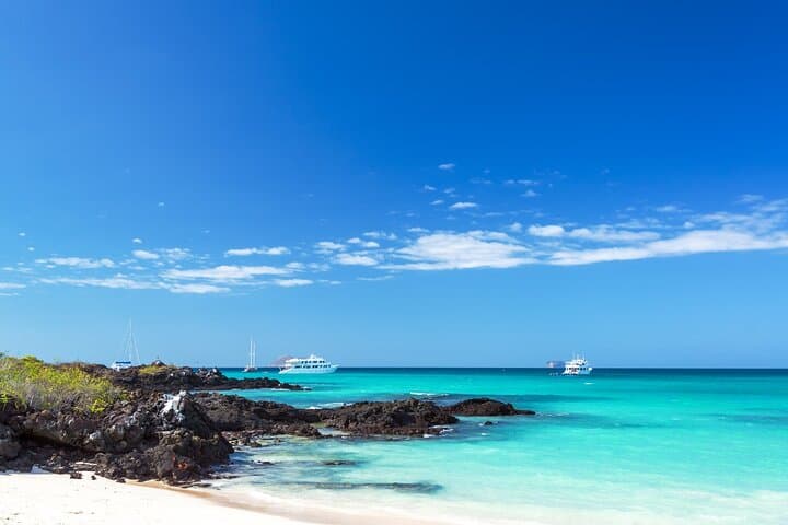 Private Snorkel Tour from San Cristóbal: Kicker Rock, Rosa Blanca & Sardina Bay photo 6