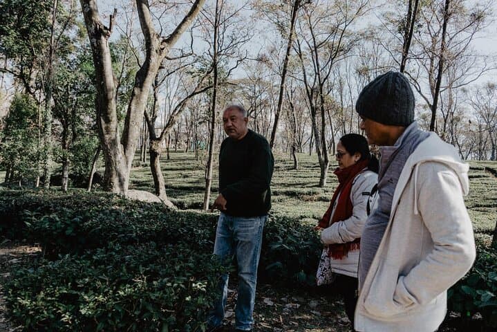 Palampur Tea Gardens, Monasteries & Chamunda Temple: Guided Day Tour from Dharamshala photo 5
