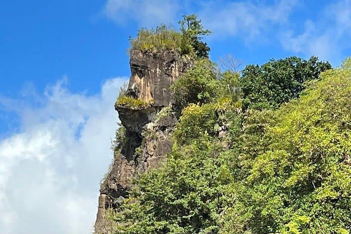 Gorilla Rock Hike and Questelles Beach Swim — Private Tour from Kingstown photo 2