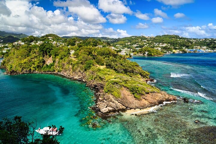 Private St Vincent Half-Day Tour: Kingstown, Fort Charlotte & Wallilabou