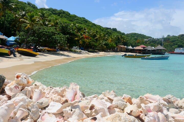 Private St Vincent Half-Day Tour: Kingstown, Fort Charlotte & Wallilabou photo 2