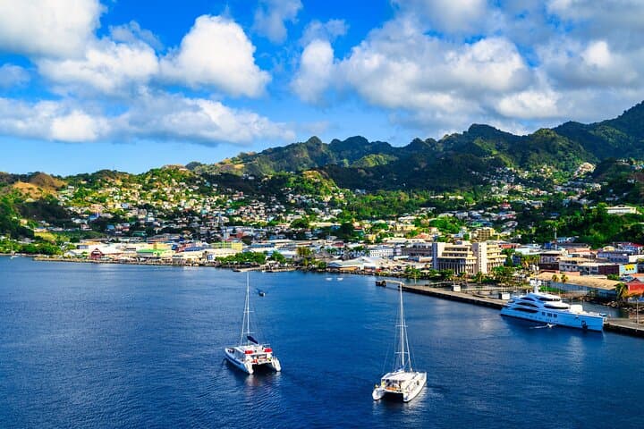 Private St Vincent Half-Day Tour: Kingstown, Fort Charlotte & Wallilabou photo 5
