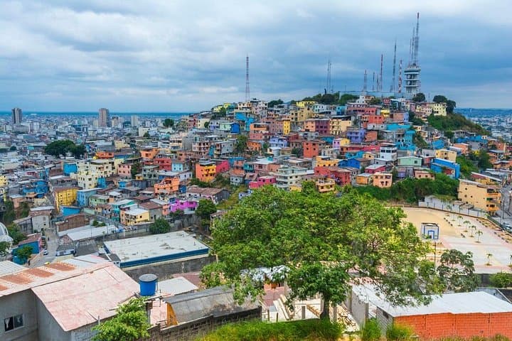 Half-Day Private Tour of Guayaquil: Malecón, Iguanas & Historic Squares photo 2