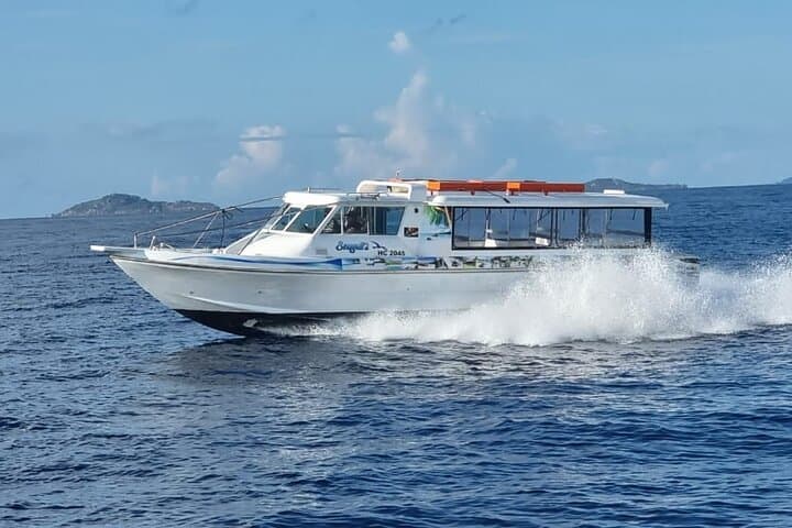Praslin & La Digue Day Trip from Mahé — Beaches, Coco de Mer & La Digue Cycling