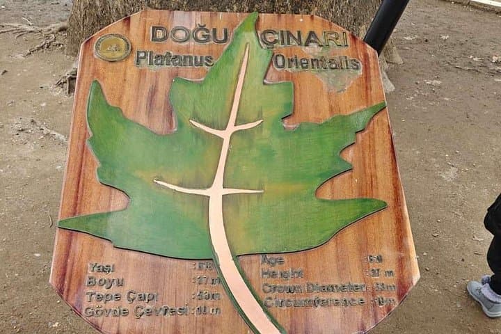 Bursa and Uludağ Day Tour from Istanbul — Green City, Cable Car & Mountain Views photo 4