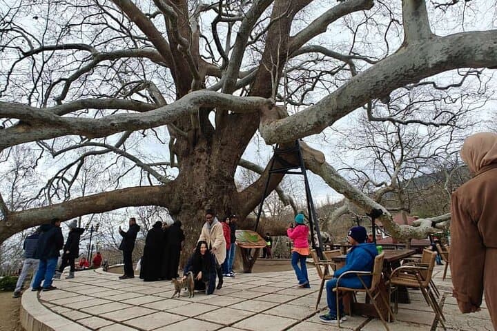 Bursa and Uludağ Day Tour from Istanbul — Green City, Cable Car & Mountain Views photo 5