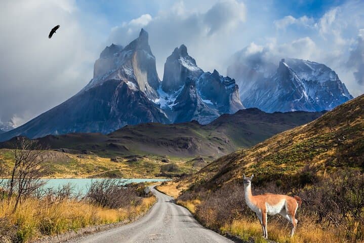 Full-Day Private Tour of Torres del Paine: Salto Grande, Grey Glacier & Cueva del Milodón photo 6
