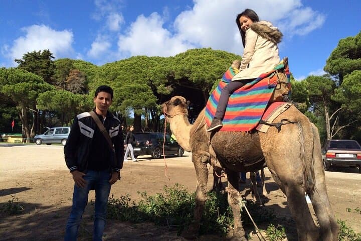 Half-Day Private Tangier City Tour: Hafa Café, Cap Spartel & Hercules Cave