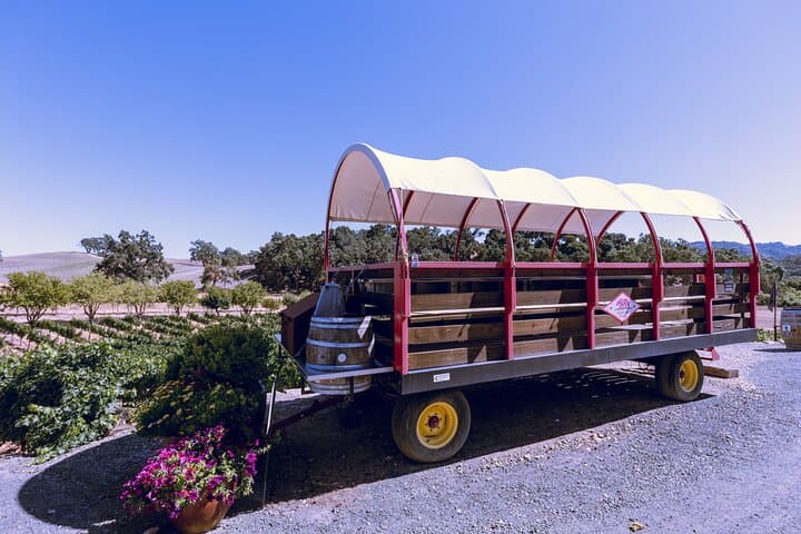 Sip Through Paso Robles: 3-Winery Tour with Picnic Lunch photo 5