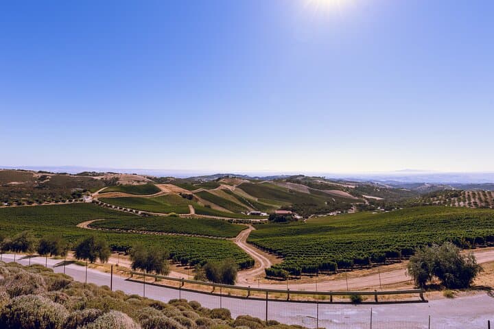 Sip Through Paso Robles: 3-Winery Tour with Picnic Lunch photo 3