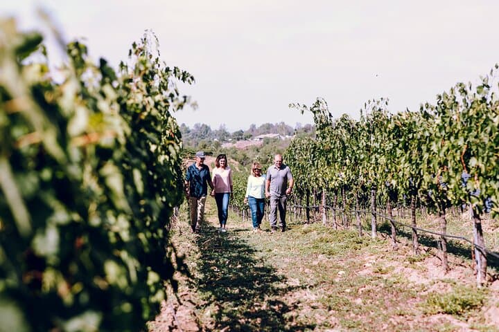 Sip Through Paso Robles: 3-Winery Tour with Picnic Lunch photo 4