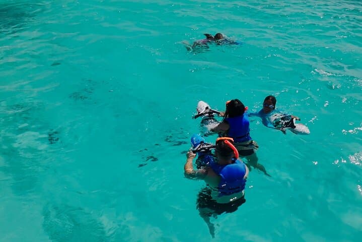 Private Snorkeling & Boat Ride in Aruba — NW Coast Turtles and Shipwrecks photo 3