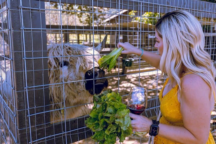 Santa Ynez 3-Winery Tour with Picnic Lunch — Day Trip from Santa Barbara photo 6