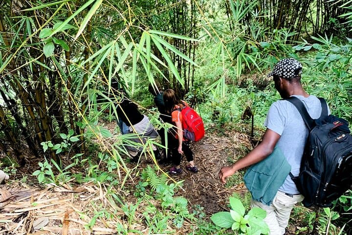 Hiking Binana Mountain & Mukungwa Waterfalls: Vunga Village Day Hike from Musanze