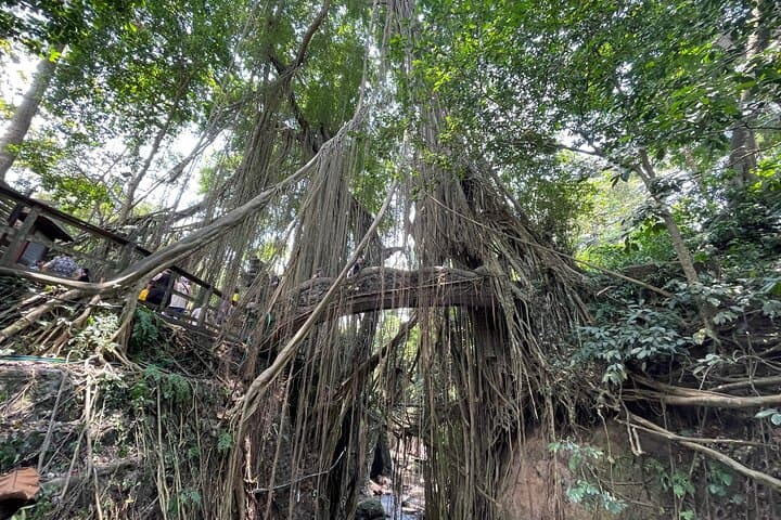 Ayung River Rafting & Ubud Highlights: Bali Swing, Monkey Forest and Tegenungan Waterfall photo 6