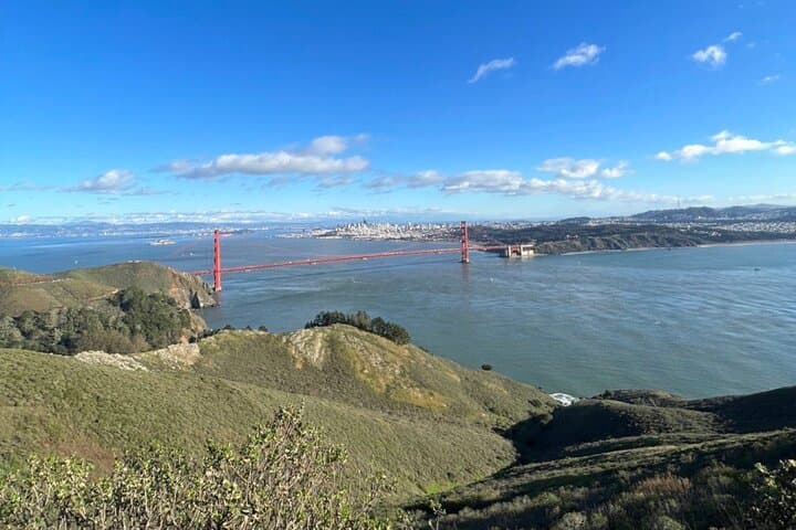 Private Small-Group San Francisco City Tour: Iconic Sights & Local Stories photo 3