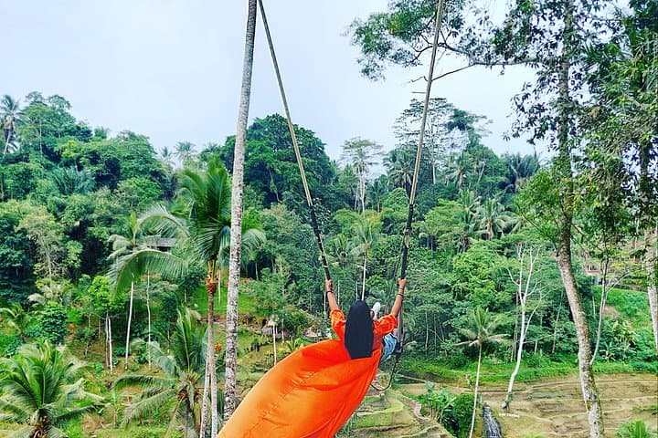 Ubud Waterfall Tour: Full-Day Waterfalls, Ubud Swing & Balinese Villages photo 3