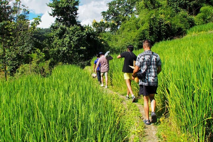 Doi Inthanon Two-Day Trek and Karen Village Homestay photo 5