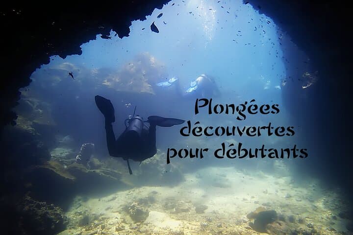 Private Scuba Diving Initiation in Koh Phangan — Pool to Reef with a Licensed Guide