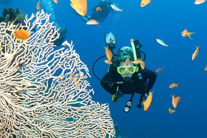 Private Scuba Diving Initiation in Koh Phangan — Pool to Reef with a Licensed Guide photo 6