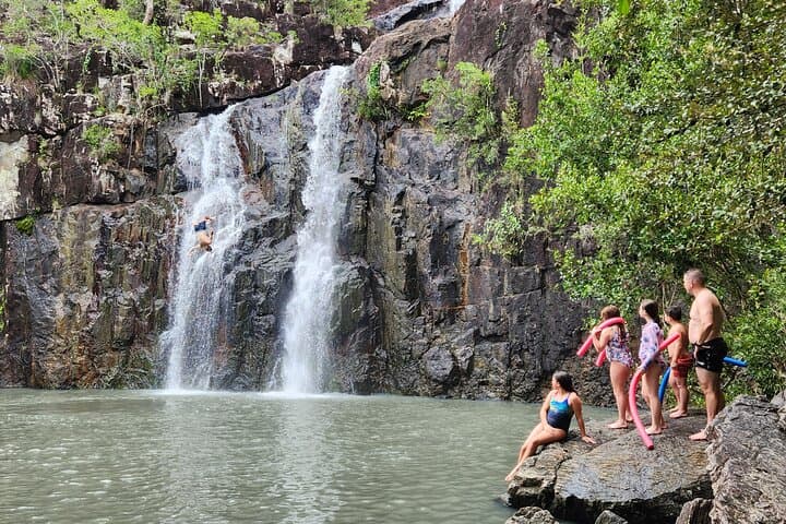 Cedar Creek Falls Rainforest Bushwalk from Airlie Beach — Eco Adventure photo 4