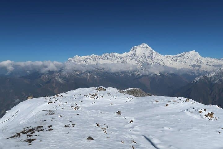 8-Day Private Trek to Khopra Ridge from Pokhara: Khopra Hill Annapurna Trek