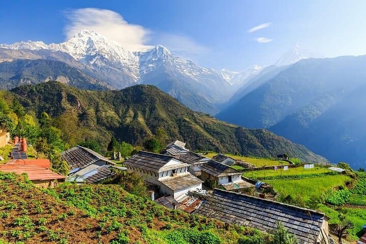 8-Day Private Trek to Khopra Ridge from Pokhara: Khopra Hill Annapurna Trek photo 4