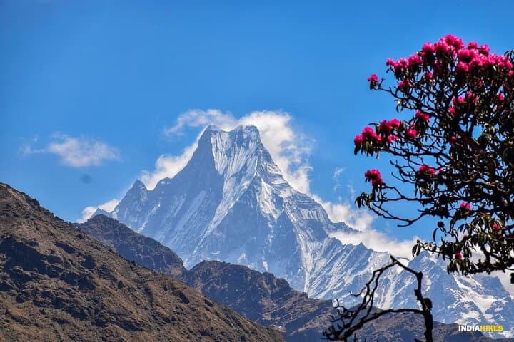 8-Day Private Trek to Khopra Ridge from Pokhara: Khopra Hill Annapurna Trek photo 5