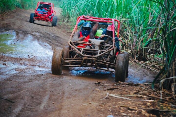 Bayahibe Half-Day Buggy & ATV Tour to the Chavón River and Bateyes photo 6