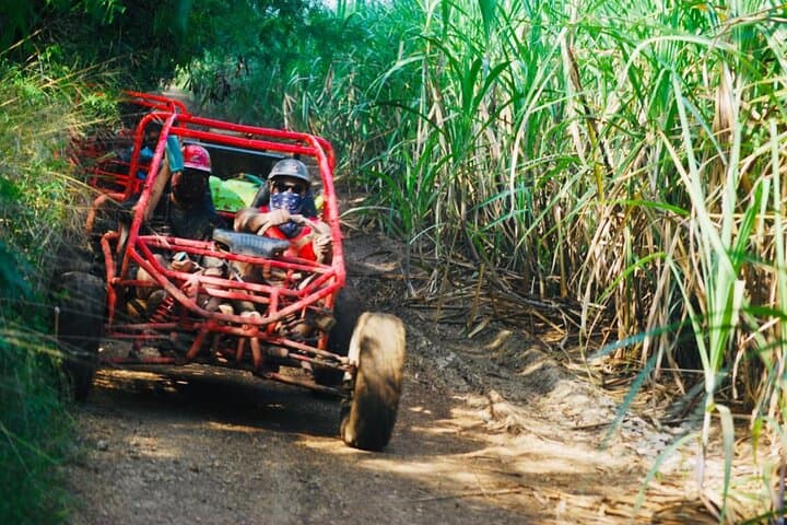 Bayahibe Half-Day Buggy & ATV Tour to the Chavón River and Bateyes photo 3