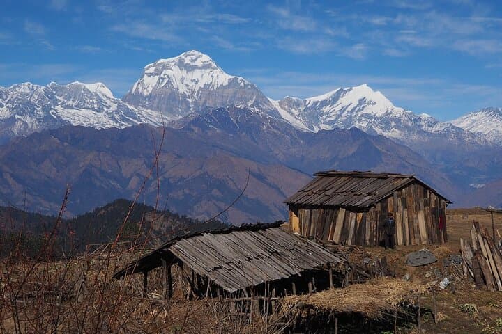 Pokhara to Mohare Danda: 5-Day Private Trek through Nangi & Tikot