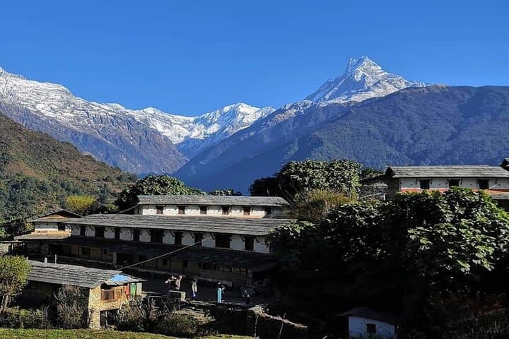 Pokhara to Mohare Danda: 5-Day Private Trek through Nangi & Tikot photo 2