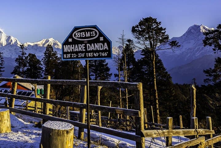 Pokhara to Mohare Danda: 5-Day Private Trek through Nangi & Tikot photo 4