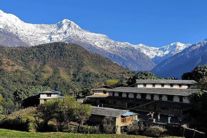 Pokhara to Mohare Danda: 5-Day Private Trek through Nangi & Tikot photo 5