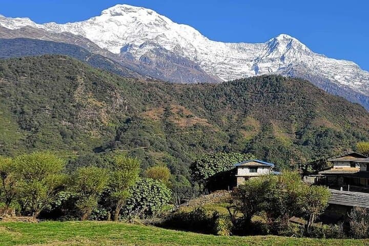 Pokhara to Mohare Danda: 5-Day Private Trek through Nangi & Tikot photo 6