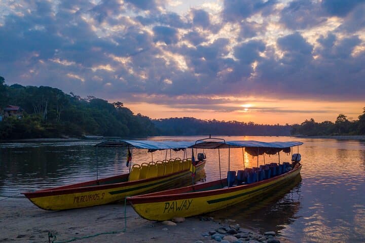 3-Day Amazon Rainforest Tour from Quito to Napo: Eco-Lodge Adventure near Misahuallí photo 3