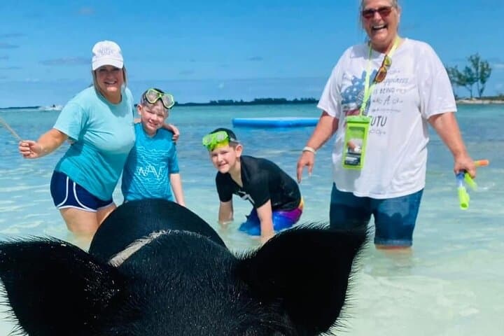 Powerboat Snorkel Tour from Nassau: Swimming Pigs, Turtles & Sandy Cay photo 3