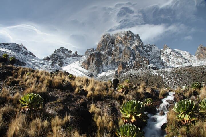 5-Day Chogoria–Sirimone Mount Kenya Trek: Summit Point Lenana via Chogoria Route photo 4