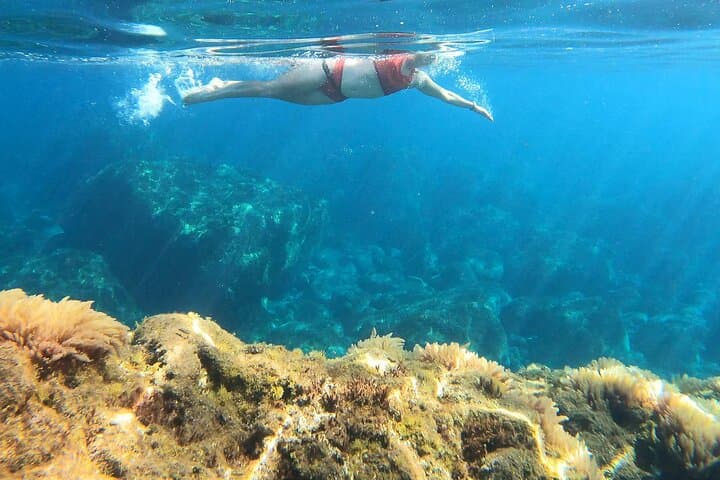 Open-Water Swimming in Madeira: Guided Coastal Swim to Garajau Reserve photo 3