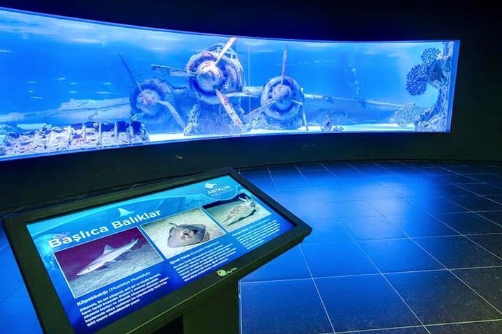 Antalya Aquarium Full-Day Trip from Side — Snow World, Tunnel Aquarium & Antalya Free Time photo 2