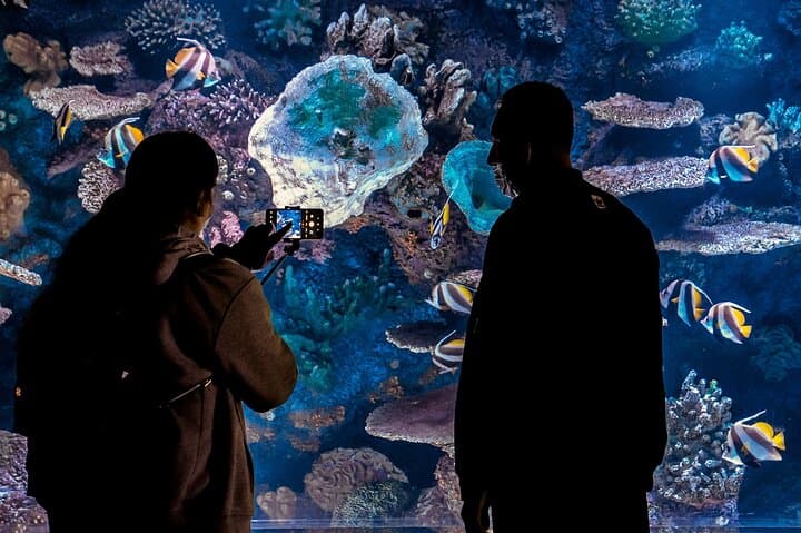 Antalya Aquarium Full-Day Trip from Side — Snow World, Tunnel Aquarium & Antalya Free Time photo 4