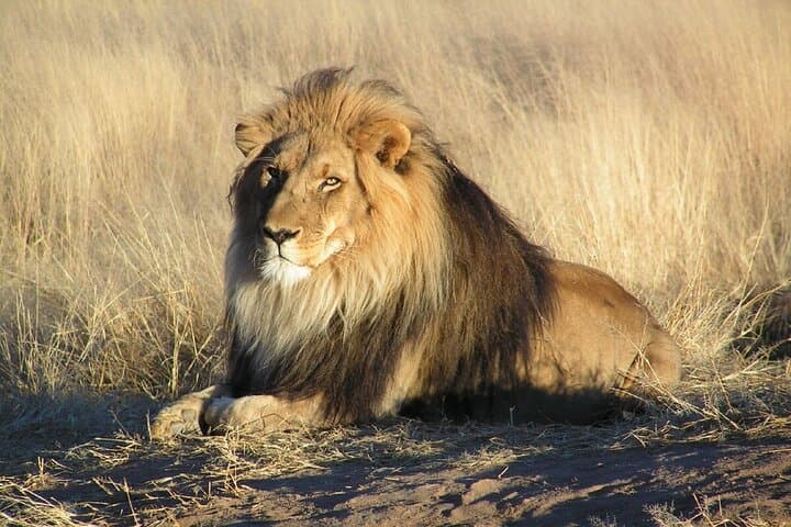 7-Day Northern Tanzania Safari: Serengeti, Ngorongoro & Tarangire photo 5