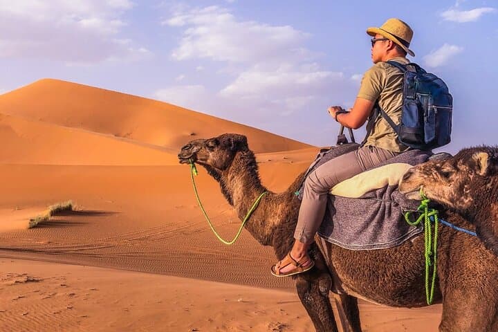 Sunrise & Sunset Camel Ride Over Erg Chebbi Dunes photo 3