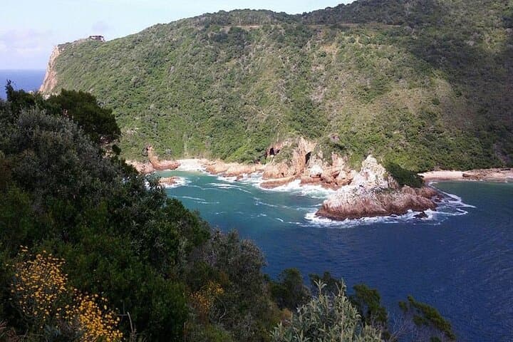 Garden Route Road Trip from Cape Town: Knysna, Robberg & Whale Coast Highlights