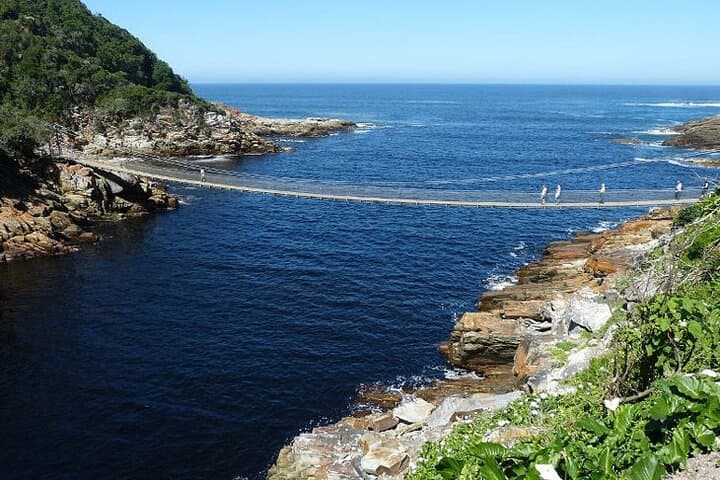 Garden Route Road Trip from Cape Town: Knysna, Robberg & Whale Coast Highlights photo 4