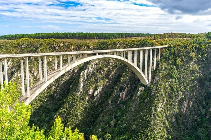 Garden Route Road Trip from Cape Town: Knysna, Robberg & Whale Coast Highlights photo 5