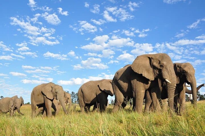 Garden Route Road Trip from Cape Town: Knysna, Robberg & Whale Coast Highlights photo 3