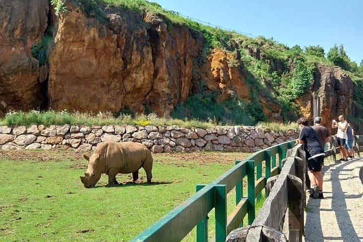 Cabárceno Natural Park Guided Visit from Santander — Drive-Through Wildlife & Live Demonstrations photo 5
