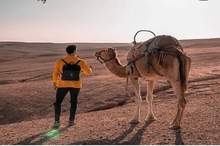 Agafay Desert Sunset Camel Ride & Traditional Dinner from Marrakech photo 3